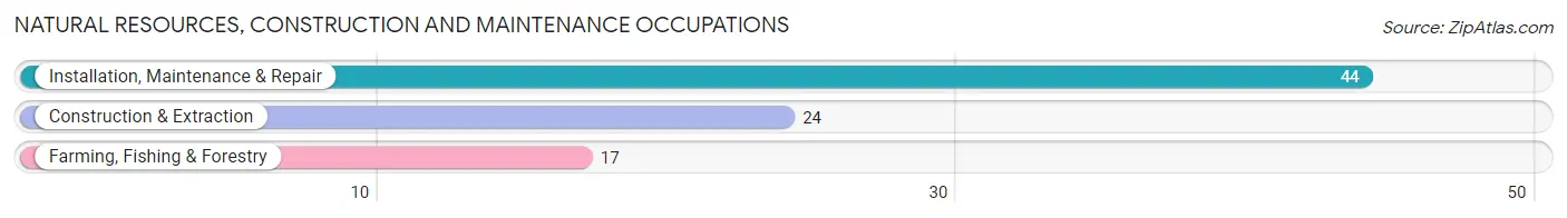 Natural Resources, Construction and Maintenance Occupations in Greenview