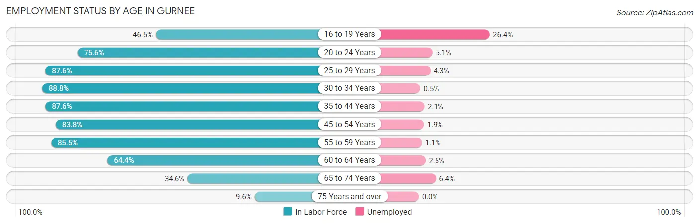 Employment Status by Age in Gurnee