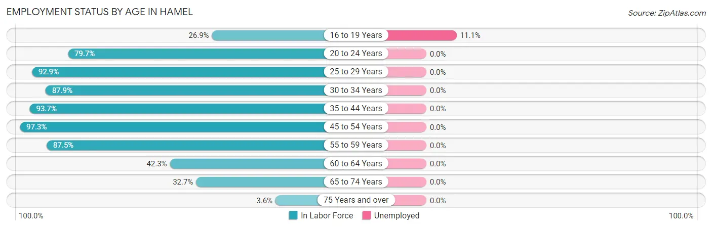 Employment Status by Age in Hamel