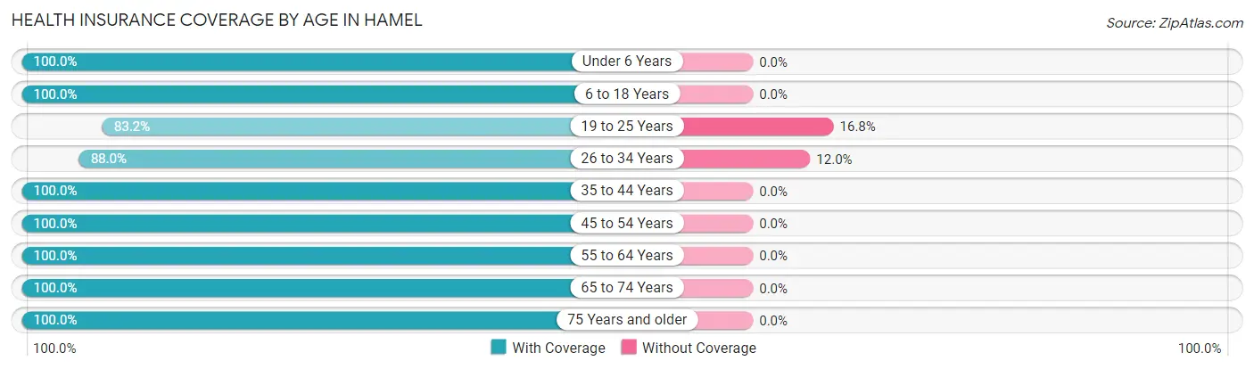Health Insurance Coverage by Age in Hamel