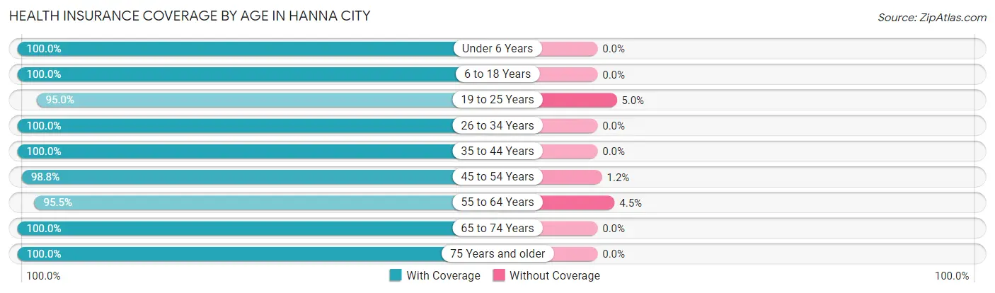 Health Insurance Coverage by Age in Hanna City