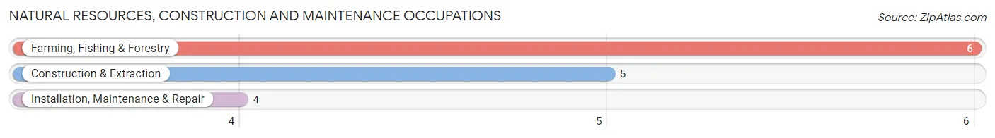 Natural Resources, Construction and Maintenance Occupations in Hartsburg