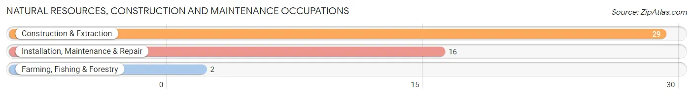 Natural Resources, Construction and Maintenance Occupations in Hennepin