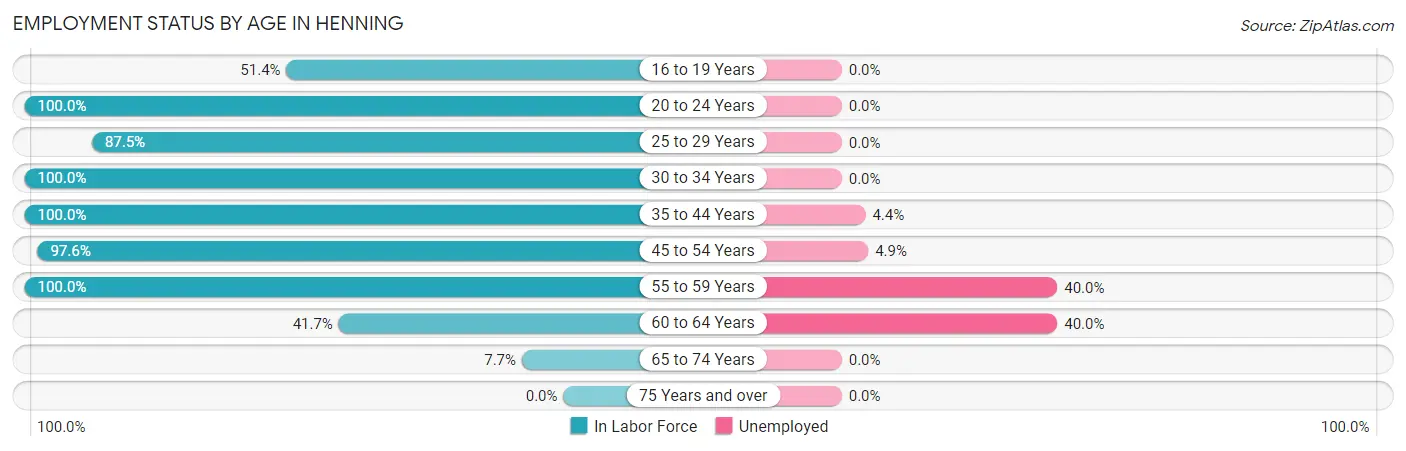 Employment Status by Age in Henning