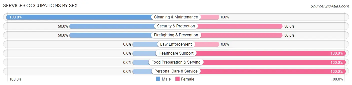 Services Occupations by Sex in Henning