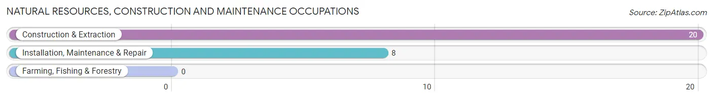 Natural Resources, Construction and Maintenance Occupations in Herrick