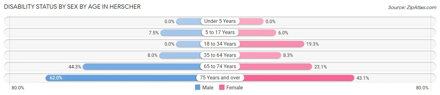 Disability Status by Sex by Age in Herscher