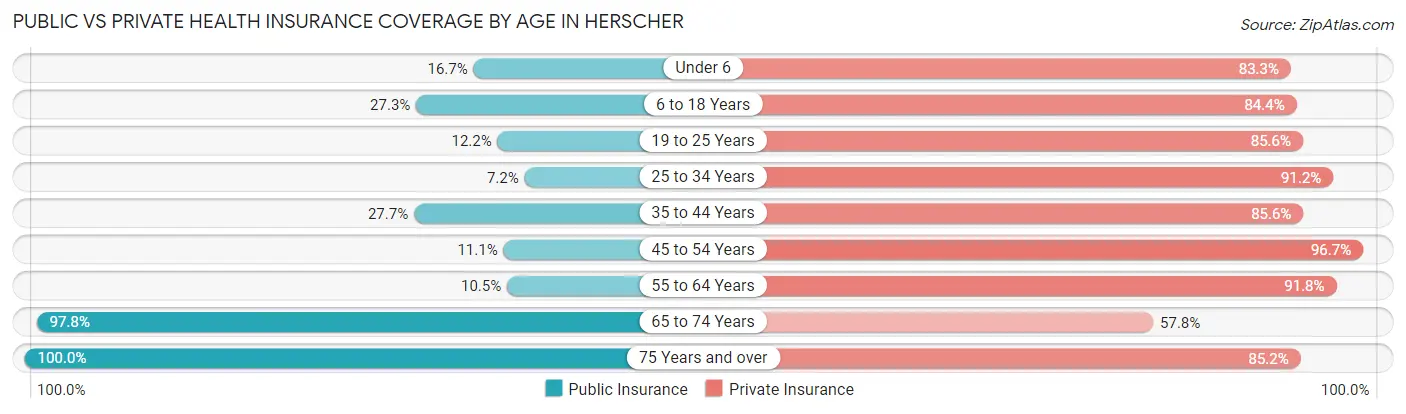 Public vs Private Health Insurance Coverage by Age in Herscher