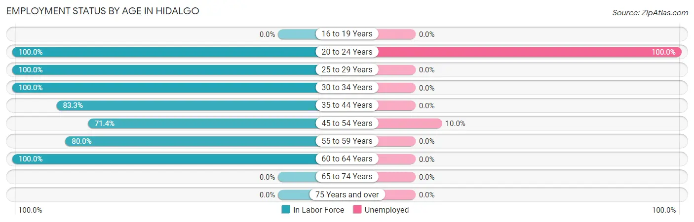 Employment Status by Age in Hidalgo