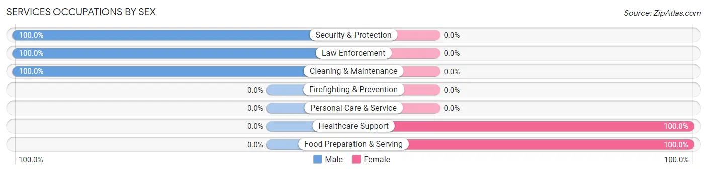 Services Occupations by Sex in Hillsdale