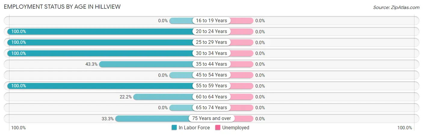 Employment Status by Age in Hillview