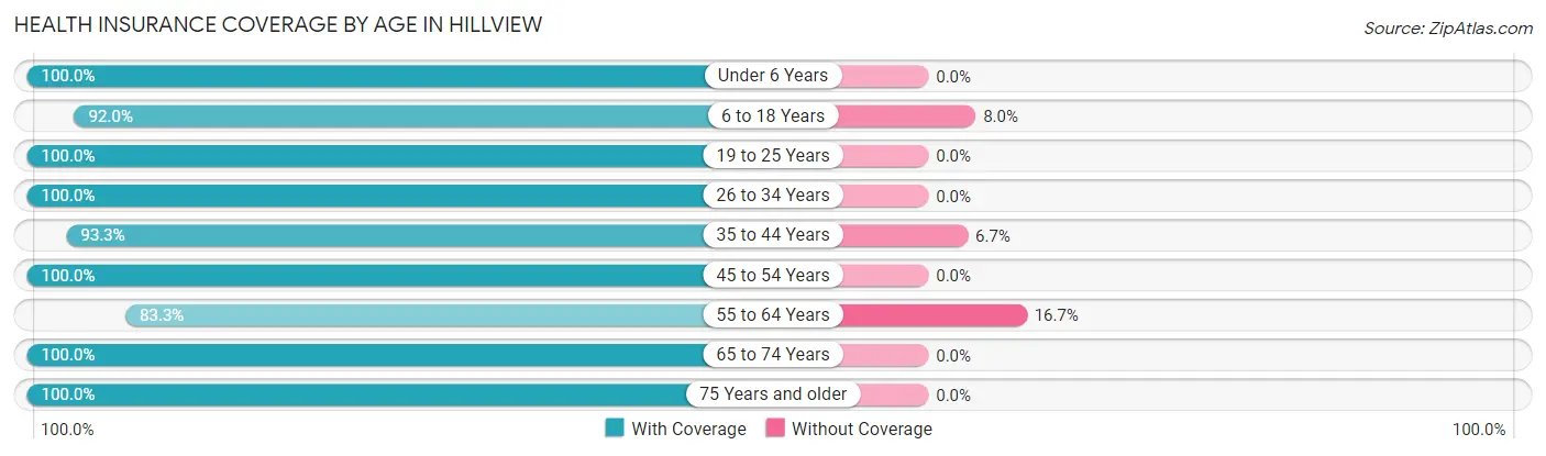 Health Insurance Coverage by Age in Hillview
