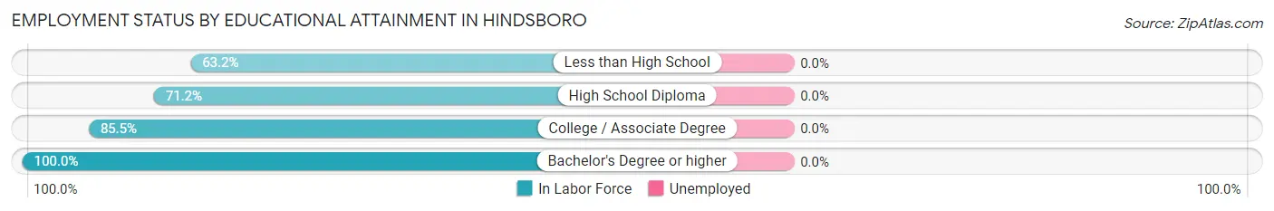 Employment Status by Educational Attainment in Hindsboro