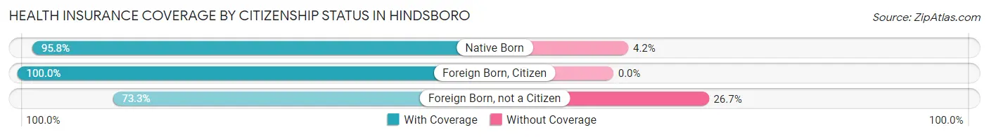 Health Insurance Coverage by Citizenship Status in Hindsboro
