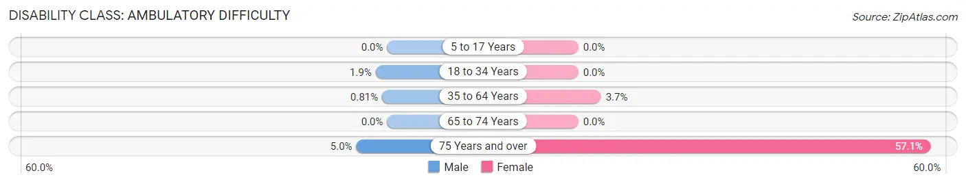 Disability in Hoffman: <span>Ambulatory Difficulty</span>