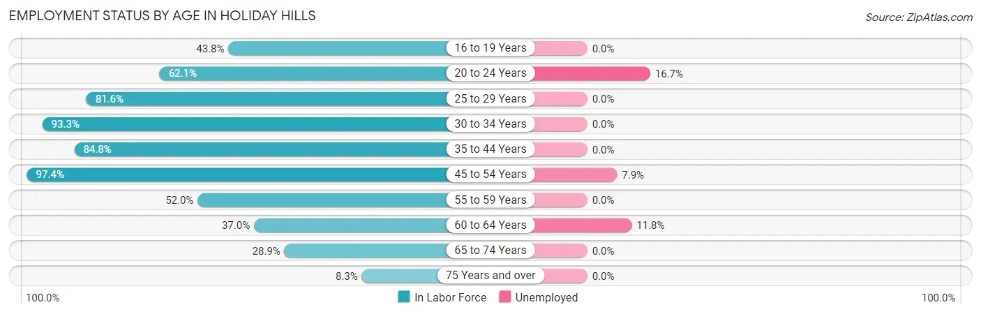Employment Status by Age in Holiday Hills