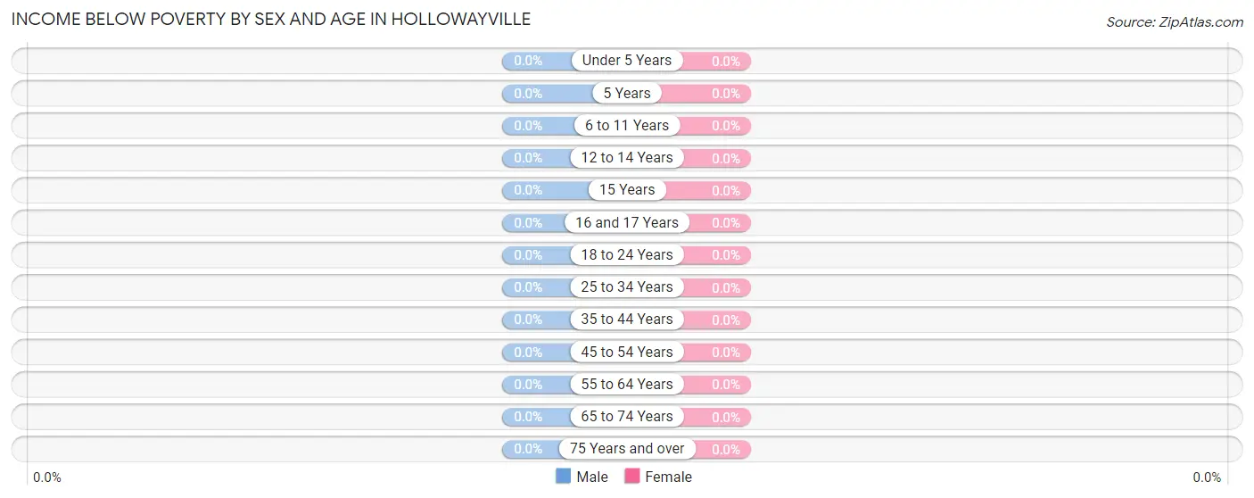 Income Below Poverty by Sex and Age in Hollowayville