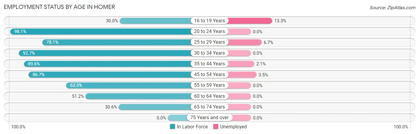 Employment Status by Age in Homer