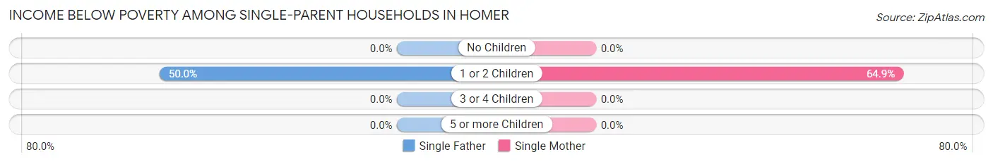 Income Below Poverty Among Single-Parent Households in Homer