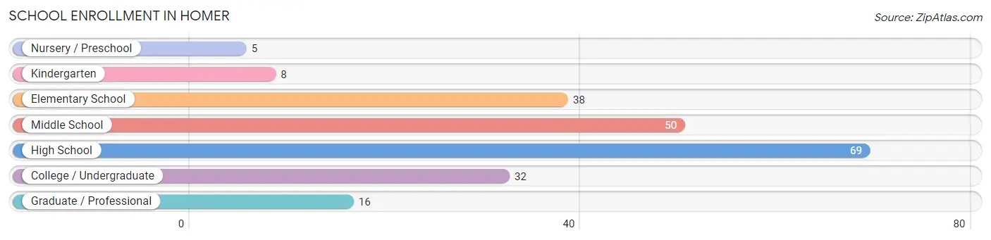 School Enrollment in Homer