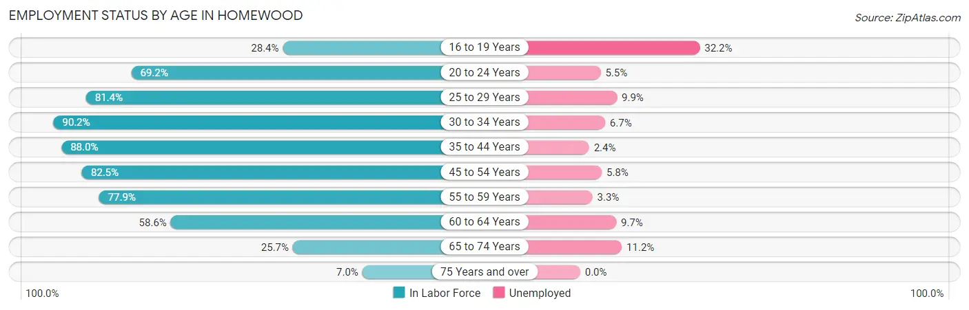 Employment Status by Age in Homewood