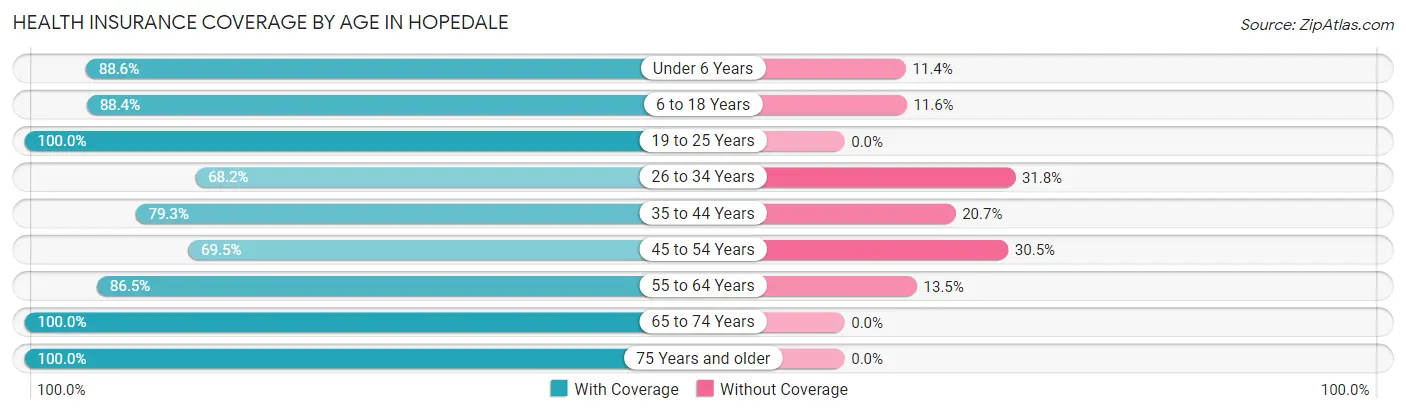 Health Insurance Coverage by Age in Hopedale