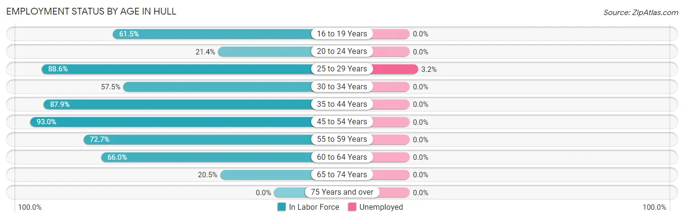 Employment Status by Age in Hull