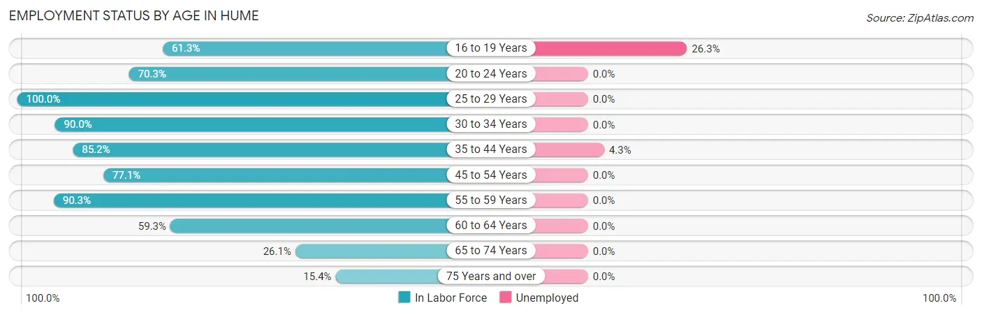 Employment Status by Age in Hume