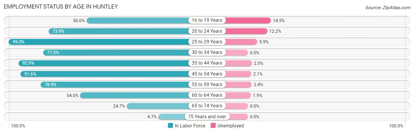 Employment Status by Age in Huntley