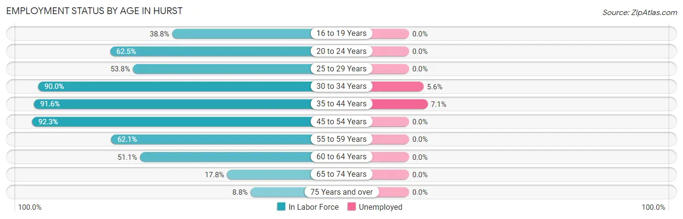 Employment Status by Age in Hurst