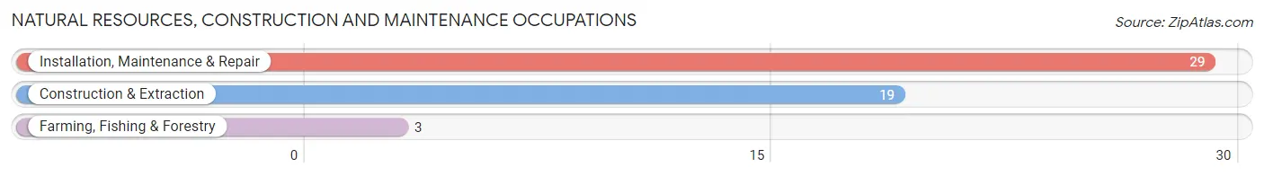 Natural Resources, Construction and Maintenance Occupations in Hurst