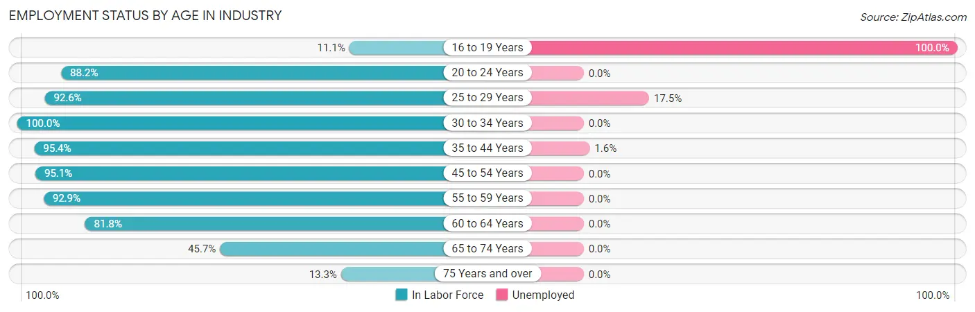 Employment Status by Age in Industry