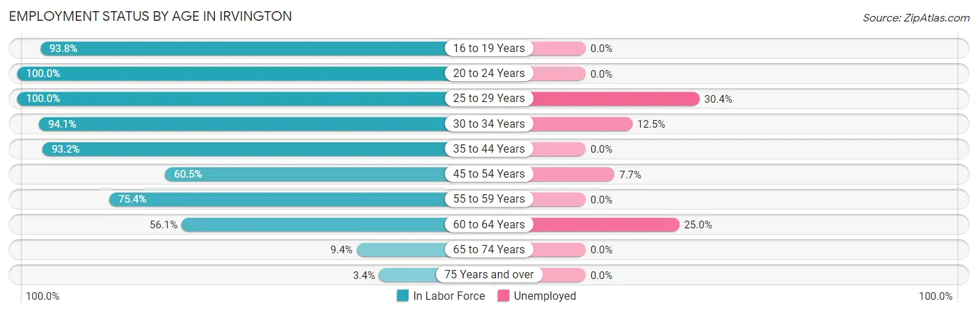 Employment Status by Age in Irvington