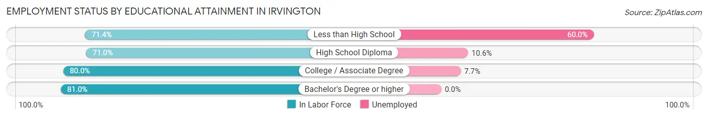 Employment Status by Educational Attainment in Irvington