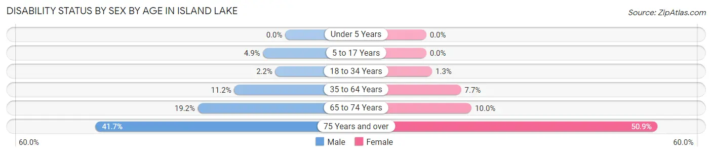 Disability Status by Sex by Age in Island Lake