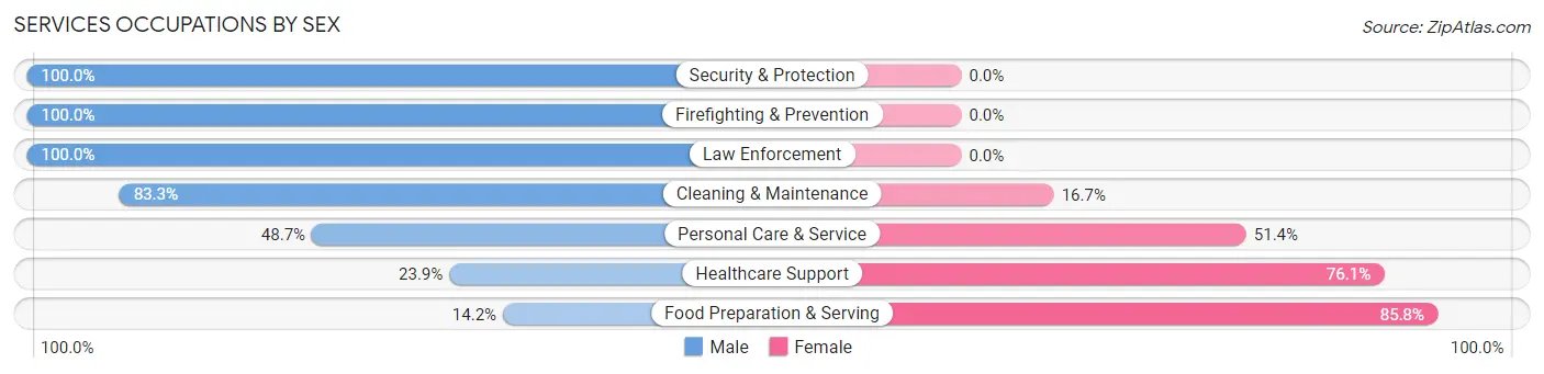 Services Occupations by Sex in Island Lake