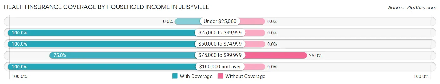 Health Insurance Coverage by Household Income in Jeisyville