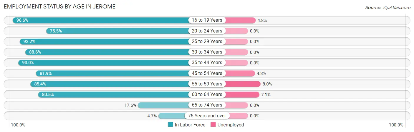 Employment Status by Age in Jerome