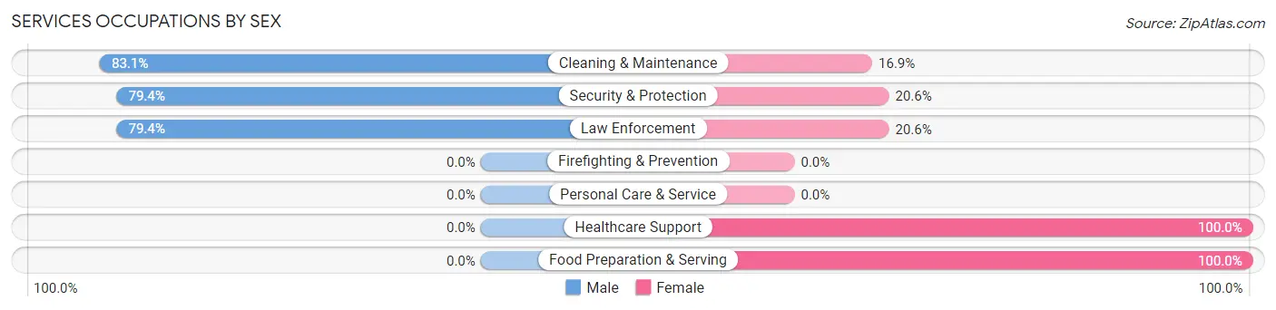 Services Occupations by Sex in Johnston City