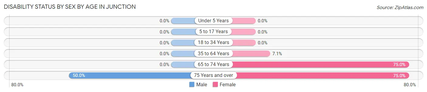 Disability Status by Sex by Age in Junction