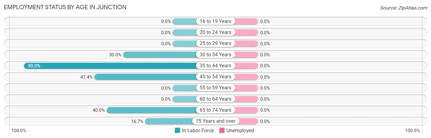 Employment Status by Age in Junction