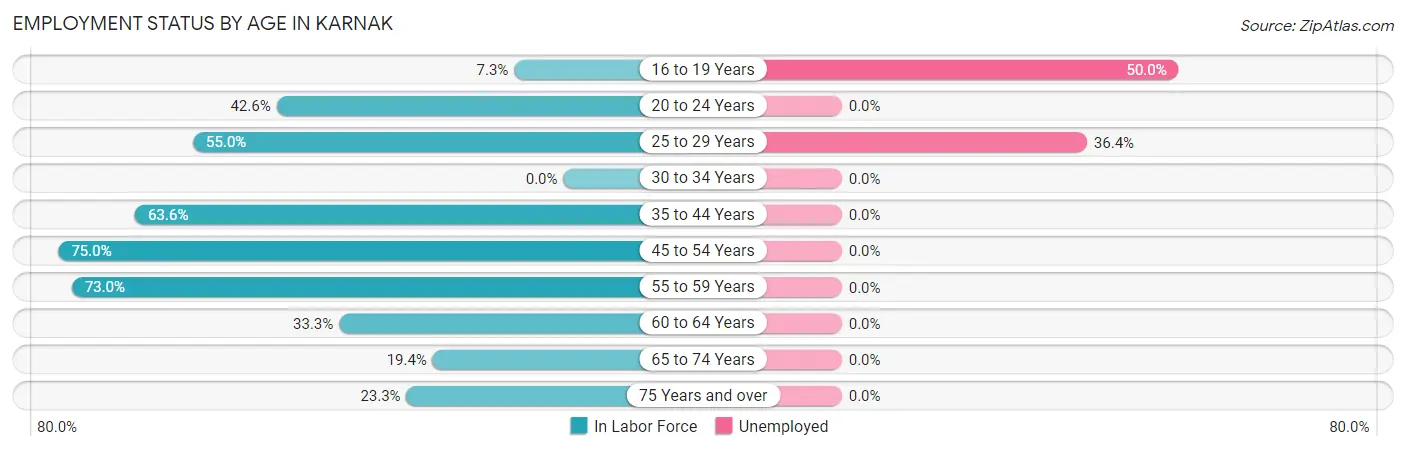 Employment Status by Age in Karnak