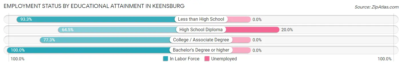 Employment Status by Educational Attainment in Keensburg