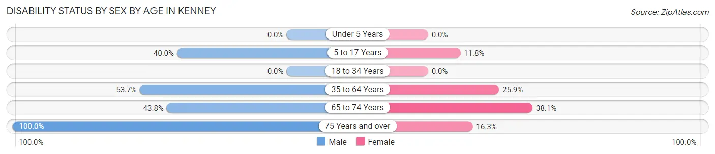 Disability Status by Sex by Age in Kenney