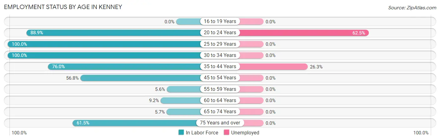 Employment Status by Age in Kenney