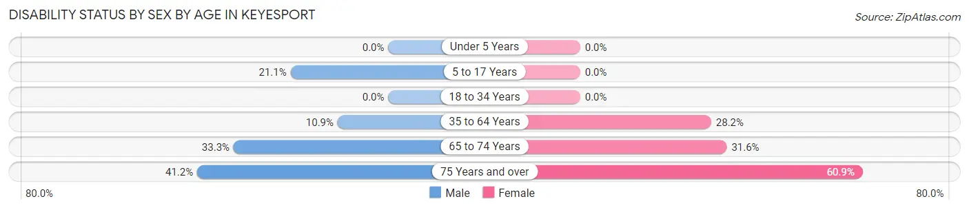 Disability Status by Sex by Age in Keyesport