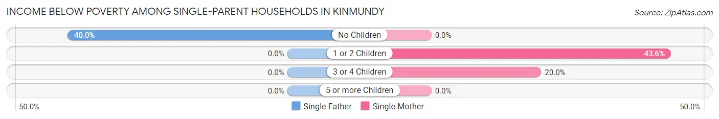Income Below Poverty Among Single-Parent Households in Kinmundy