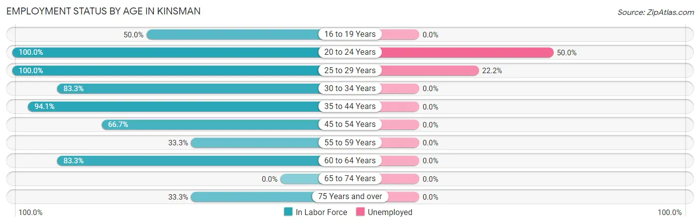Employment Status by Age in Kinsman