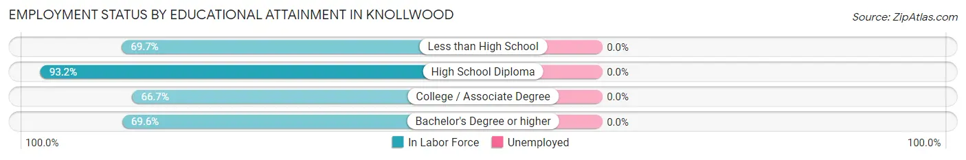 Employment Status by Educational Attainment in Knollwood