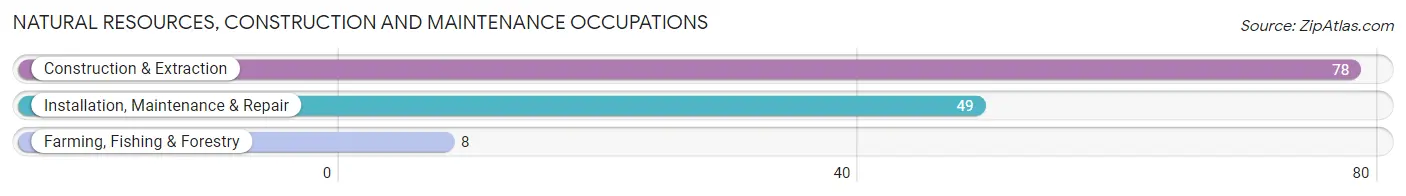 Natural Resources, Construction and Maintenance Occupations in Lacon